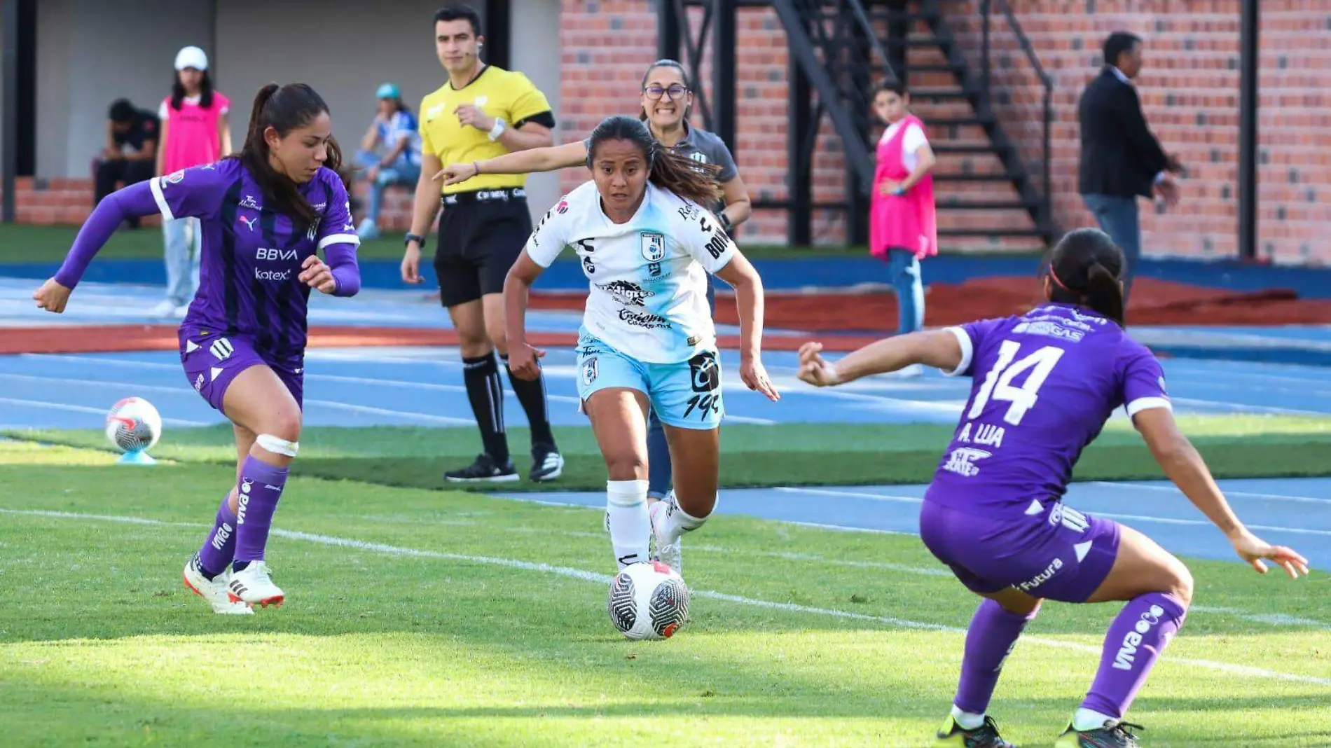 Gallos Femenil